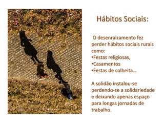 Hábitos Sociais:
O desenraizamento fez
perder hábitos sociais rurais
como:
•Festas religiosas,
•Casamentos
•Festas de colheita…
A solidão instalou-se
perdendo-se a solidariedade
e deixando apenas espaço
para longas jornadas de
trabalho.