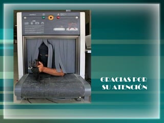 GRACIAS POR SU ATENCIÓN 