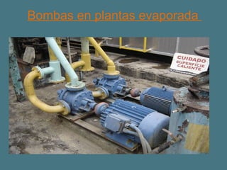 Bombas en plantas evaporada  