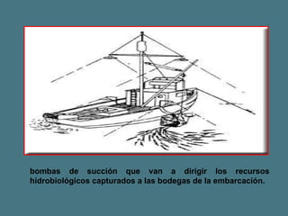 bombas de succión que van a dirigir los recursos hidrobiológicos capturados a las bodegas de la embarcación. 