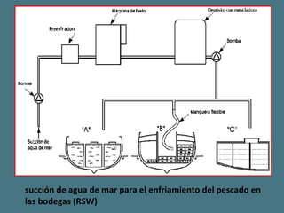 succión de agua de mar para el enfriamiento del pescado en las bodegas (RSW) 