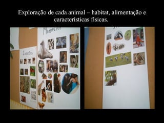 Exploração de cada animal – habitat, alimentação e características físicas.   