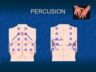 PERCUSION
 