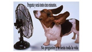 Historia clinica -Partes