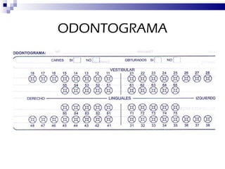 ODONTOGRAMA 