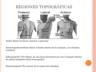 historia clinicaaa.pptx MEDICINA HISTORIA CLÍNICA | PPTX