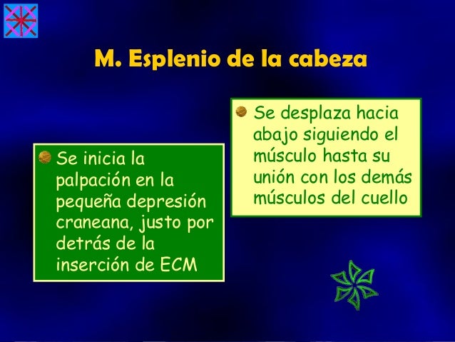 A las hernias en sheynom el departamento