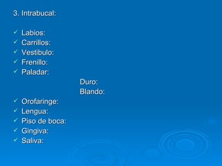 3. Intrabucal: Labios: Carrillos: Vestibulo: Frenillo: Paladar: Duro: Blando: Orofaringe: Lengua: Piso de boca: Gingiva: Saliva: 