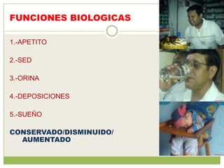 FUNCIONES BIOLOGICAS

1.-APETITO

2.-SED

3.-ORINA

4.-DEPOSICIONES

5.-SUEÑO

CONSERVADO/DISMINUIDO/
  AUMENTADO
 