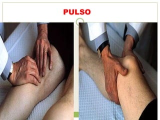 PULSO
 