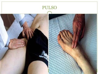 PULSO
 