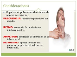 Consideraciones
 Al palpar el pulso consideraremos de
  manera sucesiva su:
FRECUENCIA: numero de pulsaciones por
   minuto.


RITMO: secuencia de movimientos
   ininterrumpidos.

AMPLITUD: oscilación de la presión en el
   tubo arterial.
DICROTISMO: apenas termina una
   pulsación se percibe otra de menos
   intensidad.
 