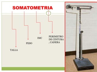 SOMATOMETRIA




                     PERIMETRO
               IMC
                     DE CINTURA
        PESO         , CADERA


TALLA
 