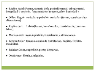 ● Región nasal: Forma, tamaño de la pirámide nasal, tabique nasal,
integridad y posición, fosas nasales ( mucosa,color, humedad ).

● Oídos: Región auricular y pabellón auricular (forma, consistencia y
alteraciones).

● Región oral:   Labios(forma,tamaño,color, consistencia,comisura
labial).

● Mucosa oral: Color,superficie,consistencia y alteraciones .

● Lengua:Color, tamaño, estado de hidratación. Papilas, frenillo,
movilidad.

● Paladar:Color, superficie, piezas dentarias.

● Orofaringe: Úvula, amígdalas.
 