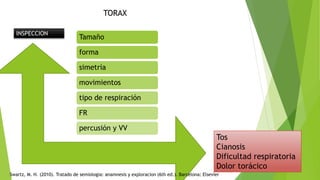 TORAX
INSPECCION
Tos
Cianosis
Dificultad respiratoria
Dolor torácico
Tamaño
forma
simetría
movimientos
tipo de respiración
FR
percusión y VV
Swartz, M. H. (2010). Tratado de semiologia: anamnesis y exploracion (6th ed.). Barcelona: Elsevier
 