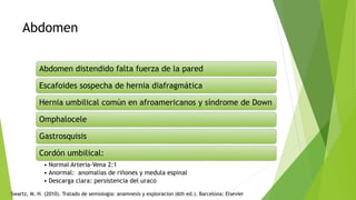 Abdomen
Abdomen distendido falta fuerza de la pared
Escafoides sospecha de hernia diafragmática
Hernia umbilical común en afroamericanos y síndrome de Down
Omphalocele
Gastrosquisis
Cordón umbilical:
• Normal Arteria-Vena 2:1
• Anormal: anomalías de riñones y medula espinal
• Descarga clara: persistencia del uraco
Swartz, M. H. (2010). Tratado de semiologia: anamnesis y exploracion (6th ed.). Barcelona: Elsevier
 