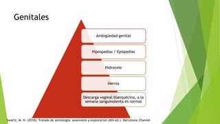 Genitales
Ambigüedad genital
Hipospadias / Epispadias
Hidrocele
Hernia
Descarga vaginal blanquecina, a la
semana sanguinolenta es normal
Swartz, M. H. (2010). Tratado de semiologia: anamnesis y exploracion (6th ed.). Barcelona: Elsevier
 