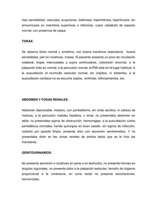 hipo sensibilidad, vesículas, erupciones, diaforesis, hiperhidrosis, hipertricosis, sin
anicomicosis en miembros superiores o inferiores, cuero cabelludo de aspecto
normal, con presencia de caspa.


TORAX:


Se observa tórax normal y simétrico, con buena mecánica respiratoria, buena
sensibilidad, piel sin cicatrices, masas. El paciente presenta un poco de circulación
colateral, tirajes intercostales y supra ventriculares, coloración anormal, a la
palpación todo es normal, a la percusión normal, el PMI está en el lugar habitual. A
la auscultación el murmullo vesicular normal, sin crepitos, ni sibilantes, a la
auscultación cardiaca no se escucha soplos, arritmias, reforzamientos, etc.




ABDOMEN Y FOSAS RENALES:


Abdomen depreciable, indoloro, con peristaltismo, sin onda ascítica, ni cabeza de
medusa, a la percusión matidez hepática, y renal, no presentaba abdomen en
tabla, no presentaba signos de obstrucción, hemorragias, a la auscultación ruidos
peristálticos normales, herida quirúrgica en buen estado, sin signos de infección,
cubierto por aposito limpio, presenta dren con secreción serohematica. Y no
presentaba dolor en las zonas renales de ambos lados que se le hizo las
maniobras.


GENITOURINARIOS:


No presenta secreción o cicatrices en pene o en testículos, no presenta hernias en
ángulos inguinales, no presenta dolor a la palpación testicular, tamaño de órganos
proporcional a la contextura, en zona rectal no presenta escoriaciones,
hemorroides.
 