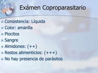 Exámen Coproparasitario
 Consistencia: Líquida
 Color: amarilla
 Piocitos
 Sangre
 Almidones: (++)
 Restos alimenticios: (+++)
 No hay presencia de parásitos
 