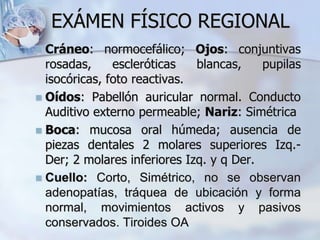  Cráneo: normocefálico; Ojos: conjuntivas
rosadas, escleróticas blancas, pupilas
isocóricas, foto reactivas.
 Oídos: Pabellón auricular normal. Conducto
Auditivo externo permeable; Nariz: Simétrica
 Boca: mucosa oral húmeda; ausencia de
piezas dentales 2 molares superiores Izq.-
Der; 2 molares inferiores Izq. y q Der.
 Cuello: Corto, Simétrico, no se observan
adenopatías, tráquea de ubicación y forma
normal, movimientos activos y pasivos
conservados. Tiroides OA
EXÁMEN FÍSICO REGIONAL
 