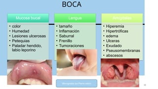 Historia Clínica Pediatrica Presentación.pptx