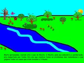 Muito apressadas, voaram até à casa do Mocho. O Mocho, pela sua sabedoria e ponderação, era respeitado por todos. Era ele que resolvia todos os problemas das redondezas e que julgava todos os casos que eram levados a tribunal. 
