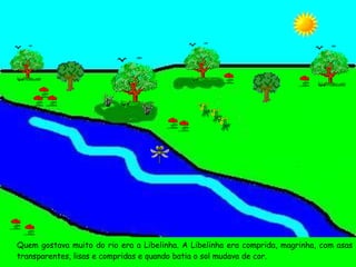 Quem gostava muito do rio era a Libelinha. A Libelinha era comprida, magrinha, com asas transparentes, lisas e compridas e quando batia o sol mudava de cor. 