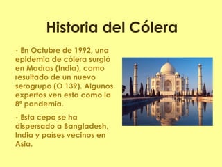 - En Octubre de 1992, una epidemia de cólera surgió en Madras (India), como resultado de un nuevo serogrupo (O 139). Algunos expertos ven esta como la 8ª pandemia. 
- Esta cepa se ha dispersado a Bangladesh, India y países vecinos en Asia. 
Historia del Cólera  