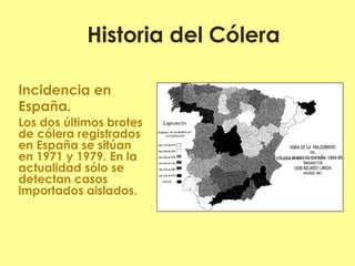 Incidencia en España. 
Los dos últimos brotes de cólera registrados en España se sitúan en 1971 y 1979. En la actualidad sólo se detectan casos importados aislados. 
Historia del Cólera 
 
