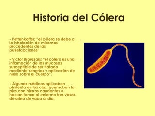 -- Pettenkoffer; “el cólera se debe a la inhalación de miasmas procedentes de las putrefacciones” 
-- Victor Broussais: “el cólera es una inflamación de las mucosas susceptible de ser tratado mediante sangrías y aplicación de hielo sobre el cuerpo”. 
-- Algunos médicos aplicaban pimienta en los ojos, quemaban lo pies con hierros candentes o hacían tomar al enfermo tres vasos de orina de vaca al día. 
Historia del Cólera  