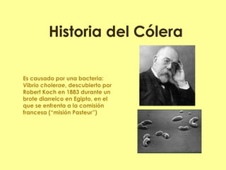 Historia del Cólera 
Es causado por una bacteria: Vibrio cholerae, descubierto por Robert Koch en 1883 durante un brote diarreico en Egipto, en el que se enfrenta a la comisión francesa (“misión Pasteur”)  