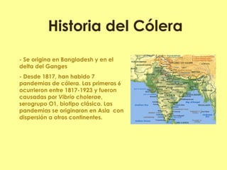 - Se origina en Bangladesh y en el delta del Ganges - Desde 1817, han habido 7 pandemias de cólera. Las primeras 6 ocurrieron entre 1817-1923 y fueron causadas por Vibrio cholerae, serogrupo O1, biotipo clásico. Las pandemias se originaron en Asia con dispersión a otros continentes. 
Historia del Cólera  