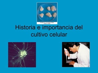Historia e importancia del
cultivo celular
 