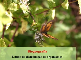 Biogeografia
Estudo da distribuição de organismos
 