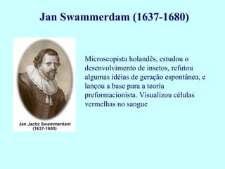 Jan Swammerdam (1637-1680)


       Microscopista holandês, estudou o
       desenvolvimento de insetos, refutou
       algumas idéias de geração espontânea, e
       lançou a base para a teoria
       preformacionista. Visualizou células
       vermelhas no sangue
 