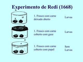 Experimento de Redi (1668)
         1. Frasco com carne   Larvas
         deixado aberto



         1. Frasco com carne   Larvas
         coberto com gaze



         1. Frasco com carne   Sem
         coberto com papel     Larvas
 