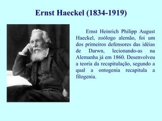 Ernst Haeckel (1834-1919)

                Ernst Heinrich Philipp August
           Haeckel, zoólogo alemão, foi um
           dos primeiros defensores das idéias
           de Darwn, lecionando-as na
           Alemanha já em 1860. Desenvolveu
           a teoria da recapitulação, segundo a
           qual a ontogenia recapitula a
           filogenia.
 