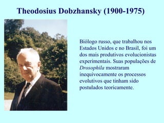 Theodosius Dobzhansky (1900-1975)


                Biólogo russo, que trabalhou nos
                Estados Unidos e no Brasil, foi um
                dos mais produtivos evolucionistas
                experimentais. Suas populações de
                Drosophila mostraram
                inequivocamente os processos
                evolutivos que tinham sido
                postulados teoricamente.
 