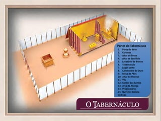 Partes do Tabernáculo
1. Porta do átrio
2. Cortinas
3. Altar de Broze
4. Altar se Sacrificio
5. Lavatório de Bronze
6. Tabernáculo
7. Lugar Santo
8. Candelabro de Ouro
9. Mesa de Pães
10. Altar de Incenso
11. Véu
12. Santos dos Santos
13. Arca da Aliança
14. Propiciatório
15. Nuvem e Coluna
de Fogo
 