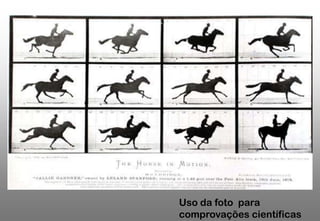 Uso da foto para
comprovações científicas

 