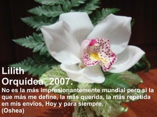 Lilith Orquídea. 2007. No es la más impresionantemente mundial pero si la  que más me define, la más querida, la más repetida  en mis envíos, Hoy y para siempre.  (Oshea) 