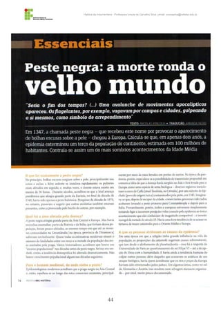 44
História da Indumentária - Professora Ursula de Carvalho Silva | email: ursulasilva@cefetsc.edu.br
 