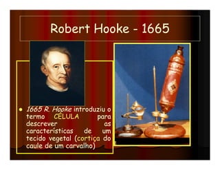 1                 A   L   (/ / $




(/ / $ 1+ A    L           3
              M ; ;'

          *
                           9
                       :
 