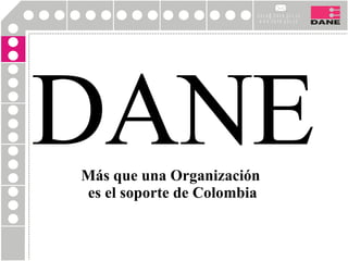DANE Más que una Organización  es el soporte de Colombia 