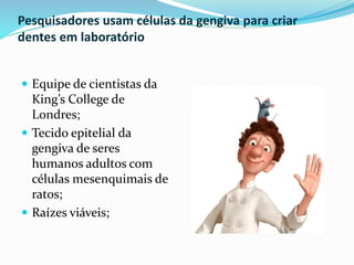 Pesquisadores usam células da gengiva para criar
dentes em laboratório
 Equipe de cientistas da
King’s College de
Londres;
 Tecido epitelial da
gengiva de seres
humanos adultos com
células mesenquimais de
ratos;
 Raízes viáveis;
 