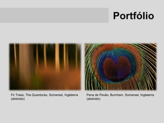 Portfólio




Fir Trees, The Quantocks, Somerset, Inglaterra   Pena de Pavão, Burnham, Somerset, Inglaterra
(abstrato)                                       (abstrato)
 