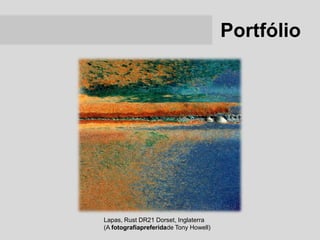 Portfólio




Lapas, Rust DR21 Dorset, Inglaterra
(A fotografiapreferidade Tony Howell)
 