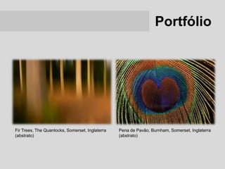 Portfólio




Fir Trees, The Quantocks, Somerset, Inglaterra   Pena de Pavão, Burnham, Somerset, Inglaterra
(abstrato)                                       (abstrato)
 