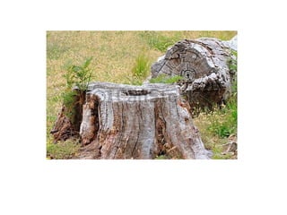 Historia das crianças