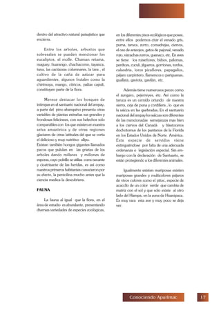 %Conociendo Apurimac
dentro del atractivo natural paisajistico que
encierra.
Entre los arboles, arbustos que
sobresalen se pueden mencionar los
eucaliptos, el molle. Chaman retama,
maguey, huarango, chachacomo, tayanca,
tuna, las cactáceas columnares, la tara , el
cultivo de la caña de azúcar para
aguardientes, algunos frutales como la
chirimoya, mango, cítricos, paltas capuli,
constituyen parte de la flora.
Merece destacar los bosques de
intimpas en el santuario nacional del ampay,
a parte del pino abanquino presenta otras
variables de plantas extrañas sus grandes y
frondosas felicineas, con sus helechos solo
comparables con los que existen en nuestra
selva amazónica y de otras regiones
glaciares de otras latitudes del que se corta
el delicioso y muy nutritivo ullpu.
Existen también hongos gigantes llamados
pacos que pululan en las grietas de los
arboles dando millares y millones de
esporas, cuyo polvillo se utiliza como secante
y cicatrizante de las heridas, es así como
nuestros primeros habitantes conocieron por
su efecto, la penicilina mucho antes que la
ciencia medica la descubriera.
FAUNA
La fauna al igual que la flora, en el
área de estudio es abundante, presentando
diversas variedades de especies zoológicas,
en los diferentes pisos ecológicos que posee,
entre ellos podemos citar el venado gris,
puma, taruca, zorro, comadrejas, ciervos,
el oso de anteojos, gatos de pajonal, venado
rojo, vizcachas zorros, guanaco, etc. En aves
se tiene los ruiseñores, búhos, palomas,
perdices, cuculí, jilgueros, gorriones, tordos,
calandria, loros picaflores, papagallos,
pájaro carpintero, flamencos o pariguanas,
guallata, gaviota, gavilán, etc.
Además tiene numerosos peces como
el zungaro, pejerreyes, etc. Así como la
taruca es un cernido oriundo de nuestra
sierra, ceja de puna y cordillera , lo que es
la salcca en las quebradas; En el santuario
nacional del ampay los salccas son diferentes
de las mencionadas semejanzas mas bien
a los ciervos del Canadá y blastoceros
dochotomus de los pantanos de la Florida
en los Estados Unidos de Norte América.
Esta especie de servidos viene
extinguiéndose por falta de una adecuada
ordenanza o legislación especial. Sin em-
bargo con la declaración de Santuario, se
están protegiendo a los diferentes animales.
Igualmente existen mariposas existen
mariposas grandes y multicolores pájaros
de vivos colores como el pitoc, especie de
acaccllo de un color verde que cambia de
matriz con el sol y que solo existe al otro
lado del Hampa, en la zona de Huanipaca.
Es muy rara esta ave y muy poco se deja
ver.
 